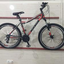 دوچرخه ویوا