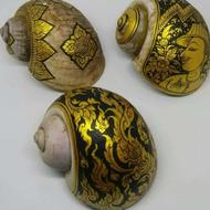 حلزون نژاد خاص پرورشی