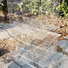 قفس پرنده نو