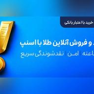 سرمایه گذاری طلا و نقره در اسنپ