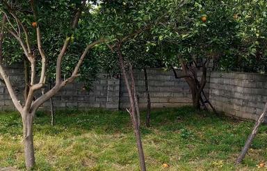 فروش زمین 140 متر در خیابان کفشگرکلا