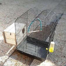 قفس پرنده همراه با لونه پوشال کرده و آبخوری کاملا سالم.