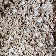 کود کبوتر خالص