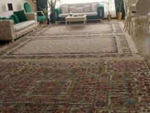 اجاره آپارتمان 125 متر در زیبادشت در شیپور