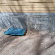 2عدد قفس ..