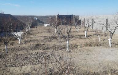 چهار دیواری باغ