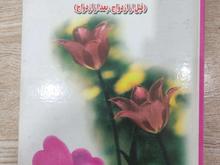 اموزش مسائل زناشویی در شیپور