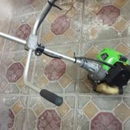 علف زن دوشی ،