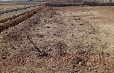 زمین باغی برای سرمایه گذاری