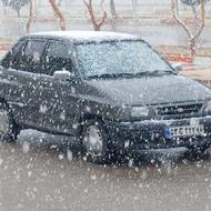 پراید مدل 81 فوری