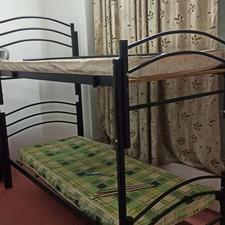 تخت دو طبقه با نوپان