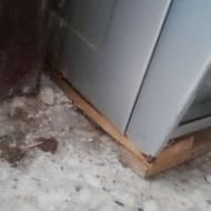 گاز پنج شعله سالم