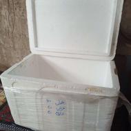 یخدان اکاسیتی