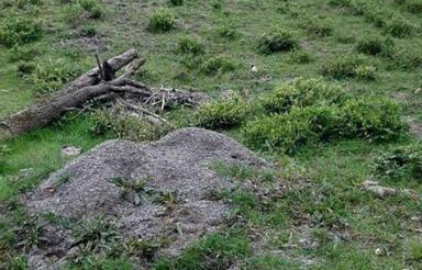 فروش زمین 570 متر داخل طرح هادی