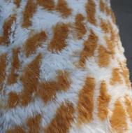 پارچه خز عروسکی