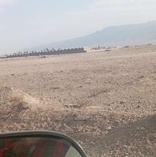 زمین. مزروعی حاجی اباد