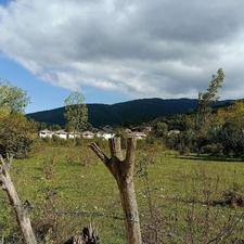 جویای سرایداری در کلاردشت هستم