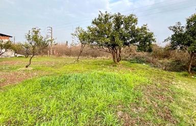 فروش زمین کشاورزی 514 متر در واسکس
