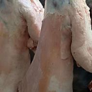 سوپر گوشت شیرز افتتاح شد