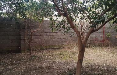 فروش یا معاوضه 420 متر باغ باخانه