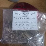 تخمه اصل کوردستان