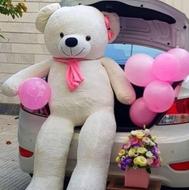 خرس ولنتاین با کیفیت بالا و قیمت مناسب