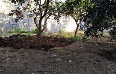 فروش زمین مسکونی در وسط روستای صورت