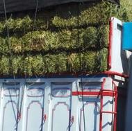 یونجه خرد شده