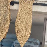 شاطر سنگک حرفه ای