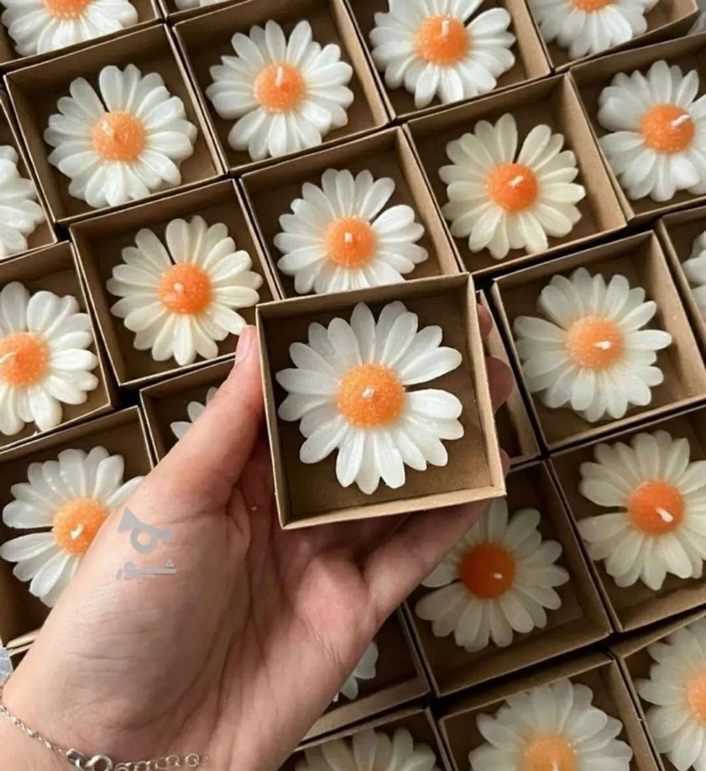 گیفت عروسی،عقد،تولد،نوزادی،دندونی،تعیین جنسیت