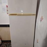 یخچال فیلور بسیار تمیز پلمپ