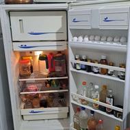 یخچال ارج 10 فوت