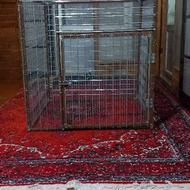 همه جاش قوتی و راویز است