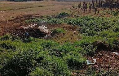 فروش یک قطعه زمین