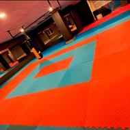 به مربی تیاریکس نیاز داریم