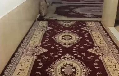 خانه اجاره ای در رازی 23