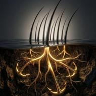 درمان ریزش و رویش مجدد