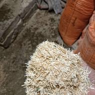 کاه گندم دیم