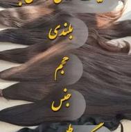 خرید موی بانوان