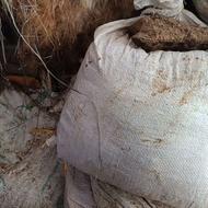 کود حیوانی خشک