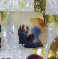 سنگ نگین معاوضه با خرگوش همستر خوکچه هندی