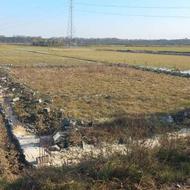 6000 متر زمین به صورت تکه ای و کامل ب فروش میرسد