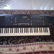 سلام ارگ رولند 56فروشی