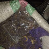 گل گاوزبان امساله خشک شده