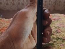 گوشی.موبایلa14 در شیپور