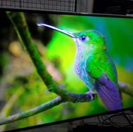 ال ای دی 55 سام هوشمند