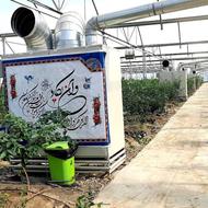 کار در محیط باغی مکانیزه