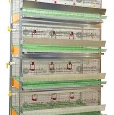 قفس 5طبقه نگهداری پرنده،بلدرچین