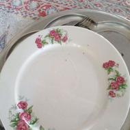 بشقاب چینی گل سرخی دودست