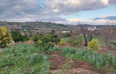 زمینی در روستای اسپورز ویو ابدی